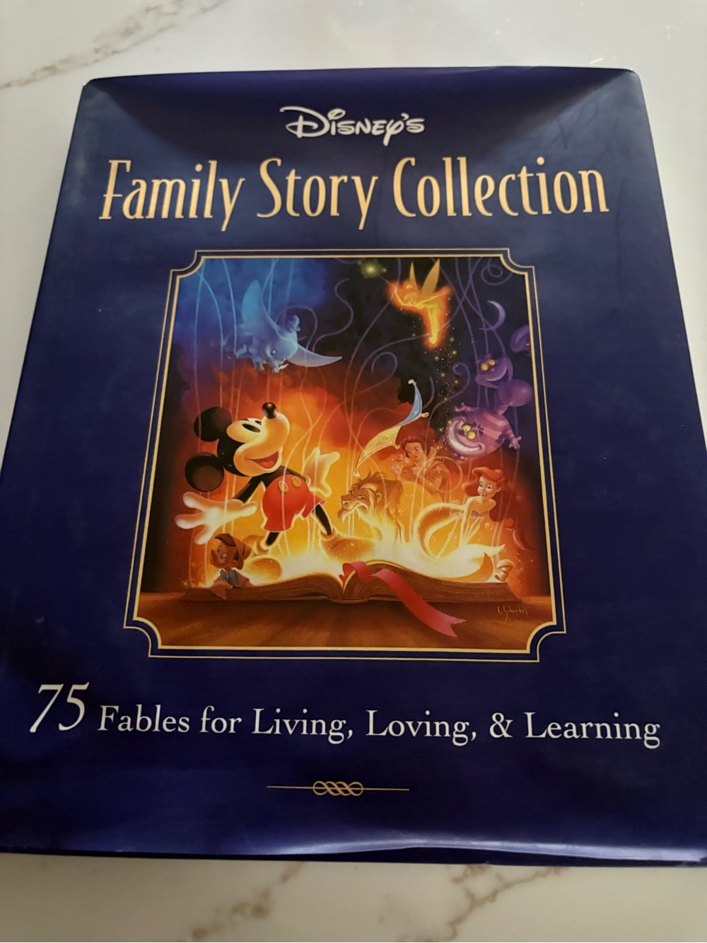 Disney’s Family Story Collection book
